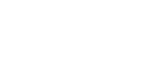 深港黑豹
